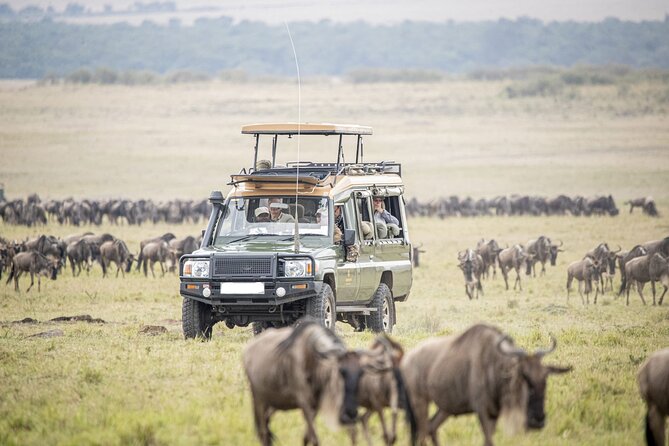3-day 2-night Maasai Mara safari