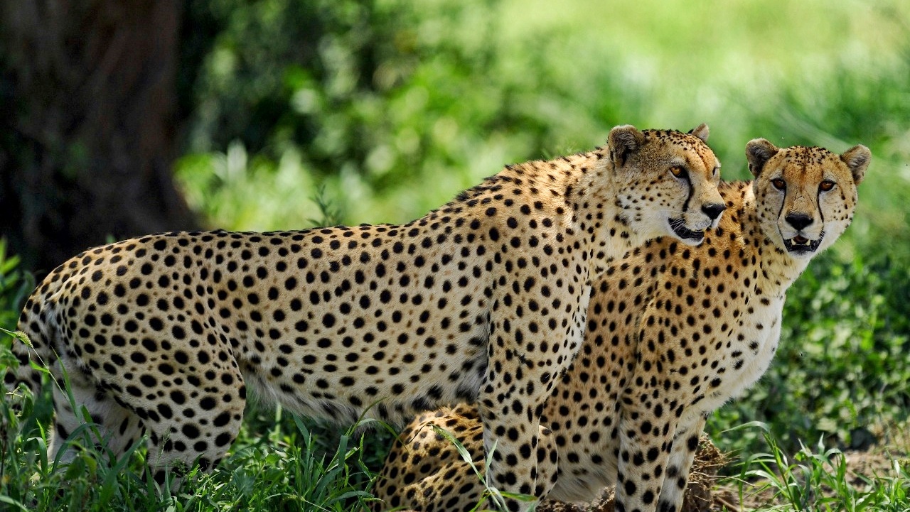 Wild places. Remarkable journeys.
